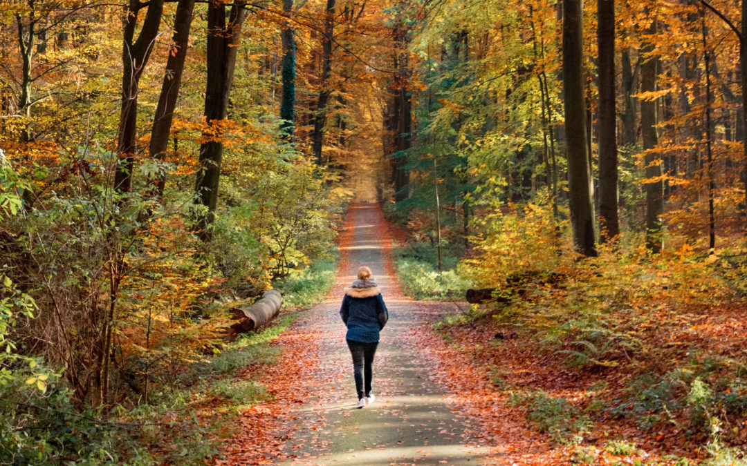 Walking oder flottes Spazierengehen