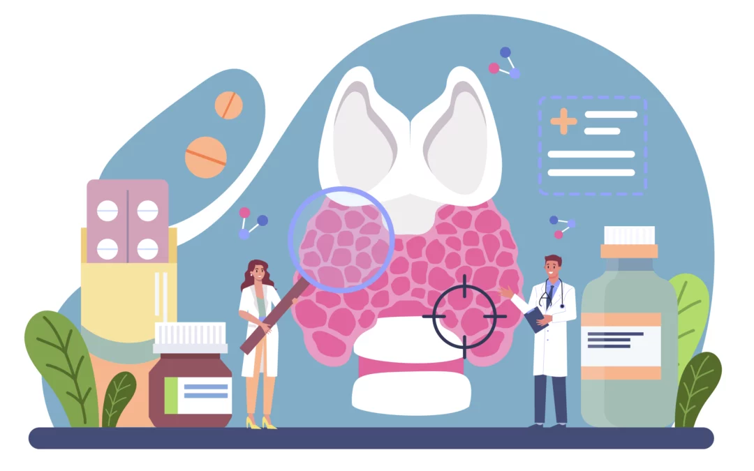 Hypothalamus, Hypophyse und Schilddrüse. Der Regelkreis der Schilddrüsenhormone verständlich erklärt